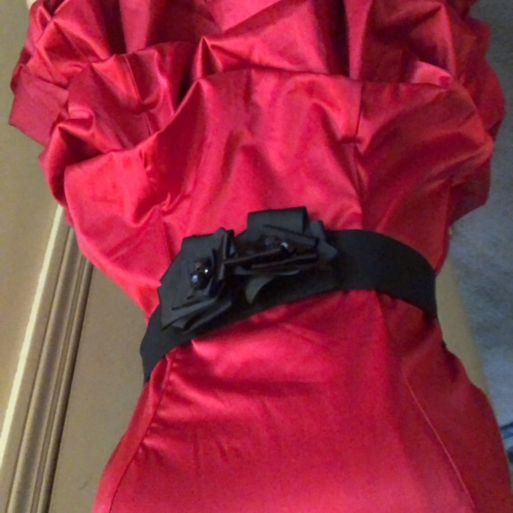 Red Dress - Picture 3 of 3